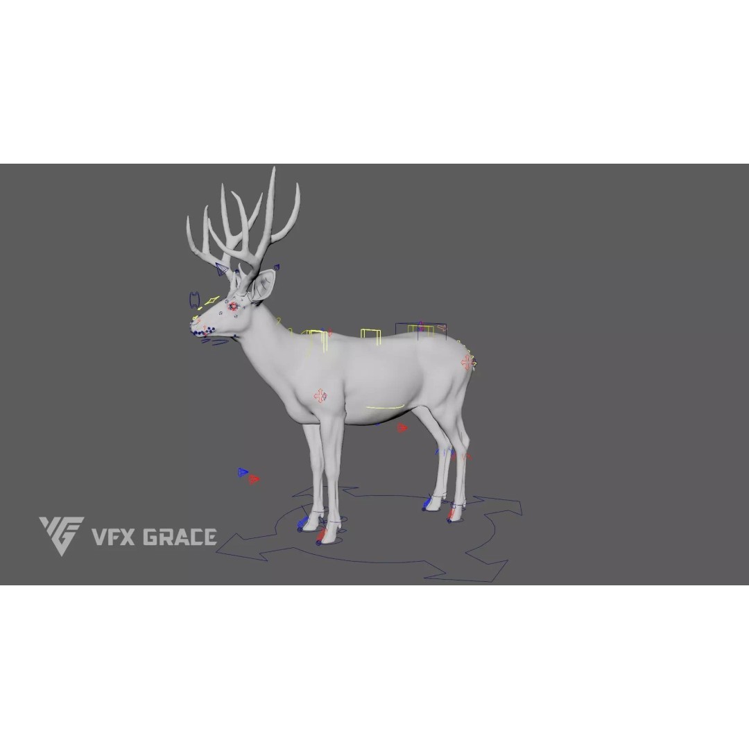 Mule Deer Male 3D Model – Rigged Character with Realistic Fur and Textures - View 12