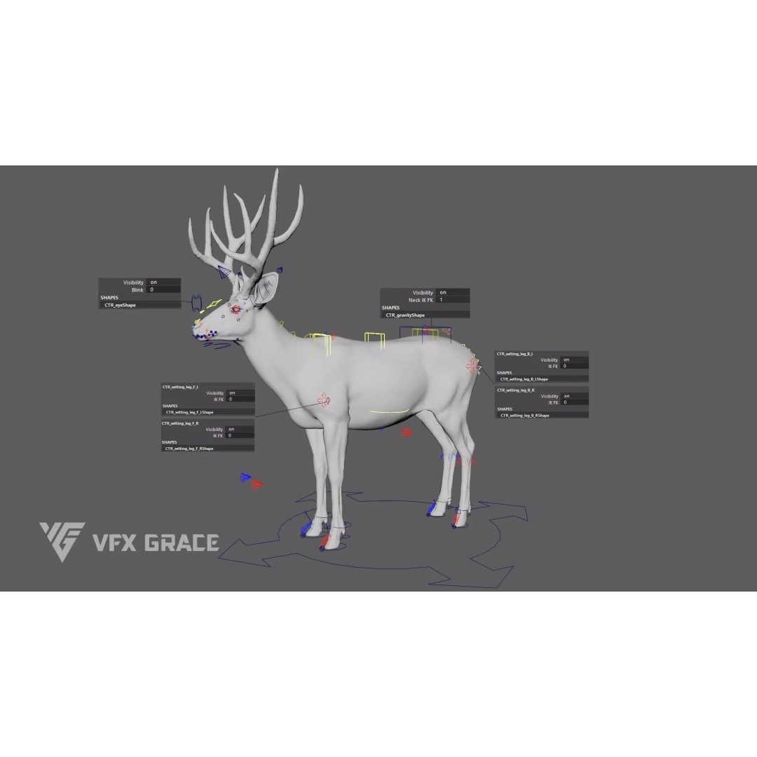 Mule Deer Male 3D Model – Rigged Character with Realistic Fur and Textures - View 13