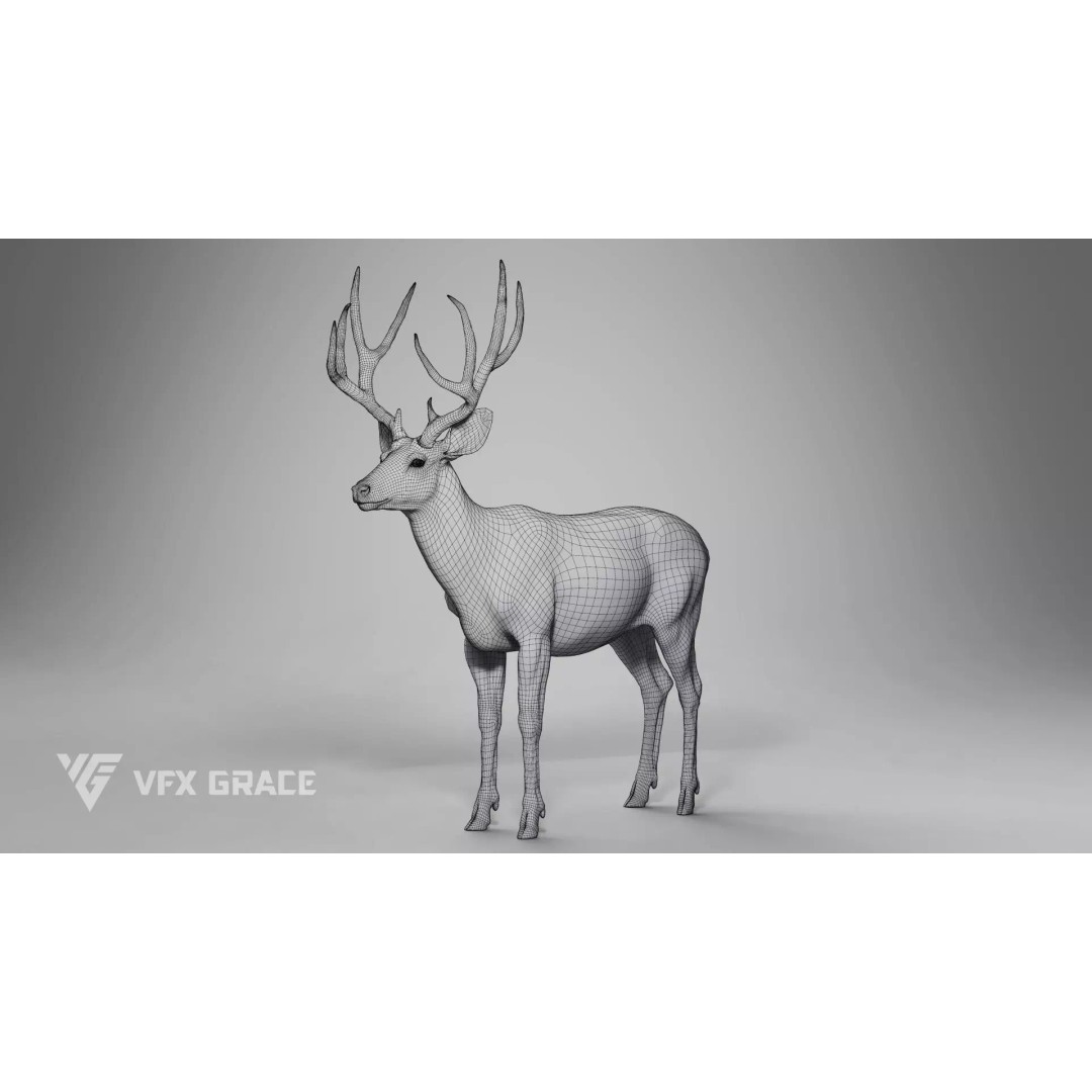 Mule Deer Male 3D Model – Rigged Character with Realistic Fur and Textures - View 14