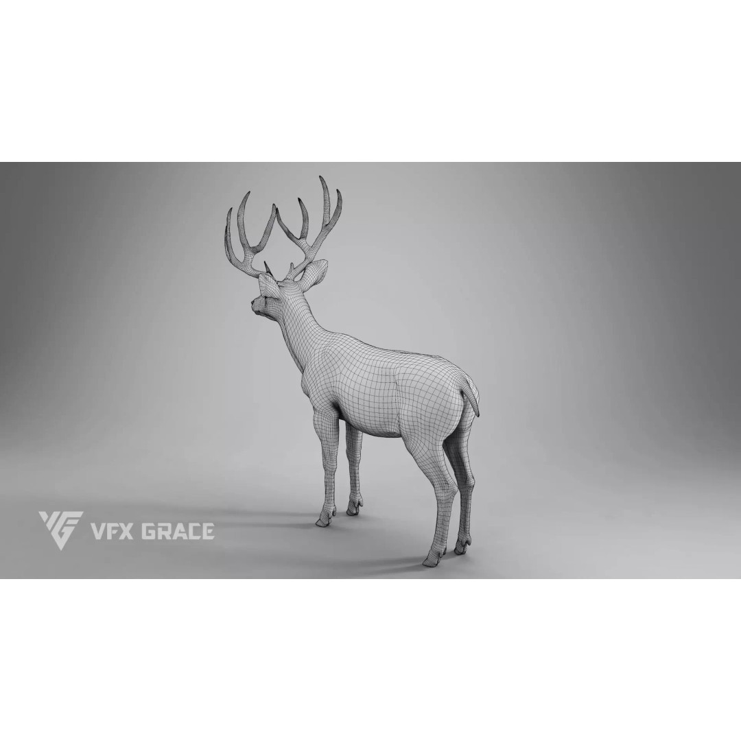 Mule Deer Male 3D Model – Rigged Character with Realistic Fur and Textures - View 16