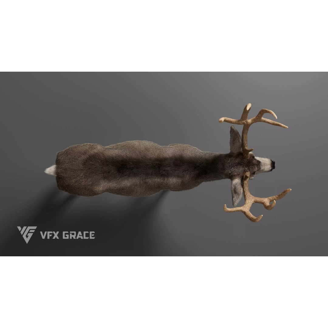 Mule Deer Male 3D Model – Rigged Character with Realistic Fur and Textures - View 6