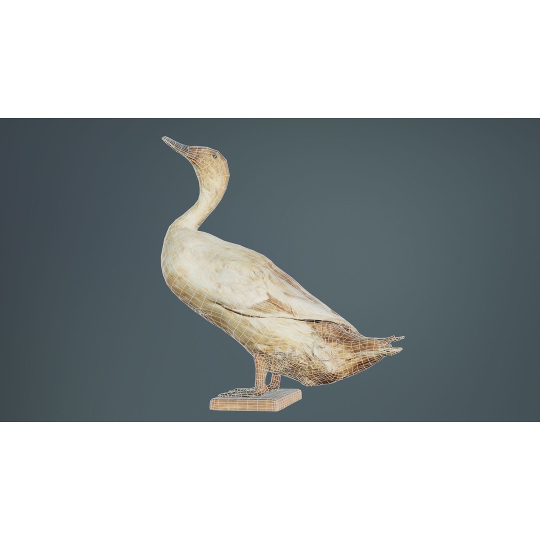 Duck 3D Model – Low Poly Animal with PBR Textures, FBX - View 11