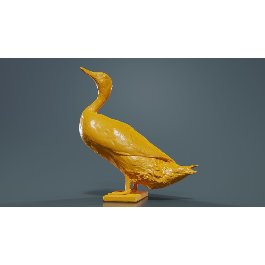 Duck 3D Model – Low Poly Animal with PBR Textures, FBX - View 14