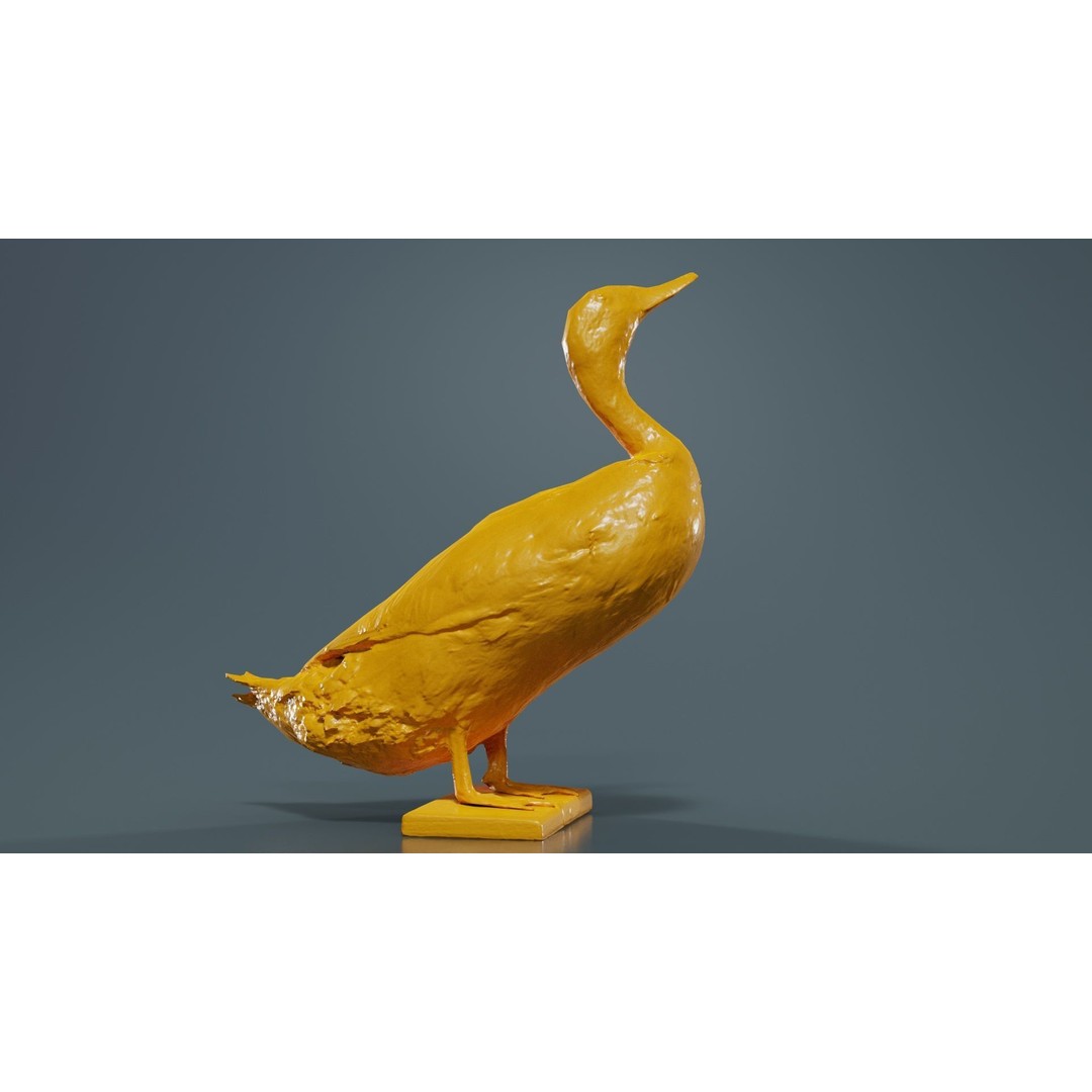 Duck 3D Model – Low Poly Animal with PBR Textures, FBX - View 15