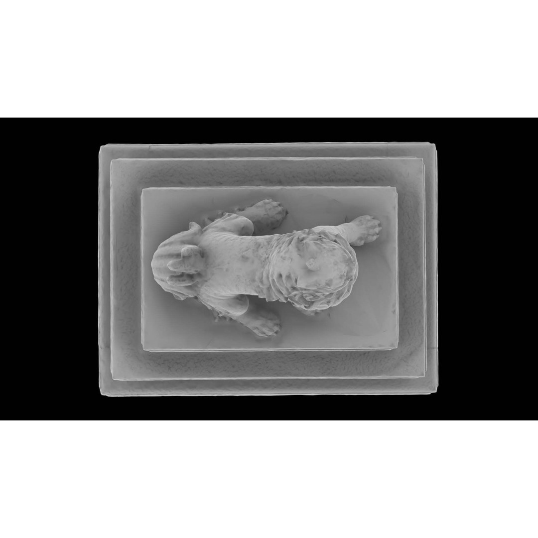 Japanese Animal Statue 3D Model – Photorealistic Stone Creature, FBX - View 21