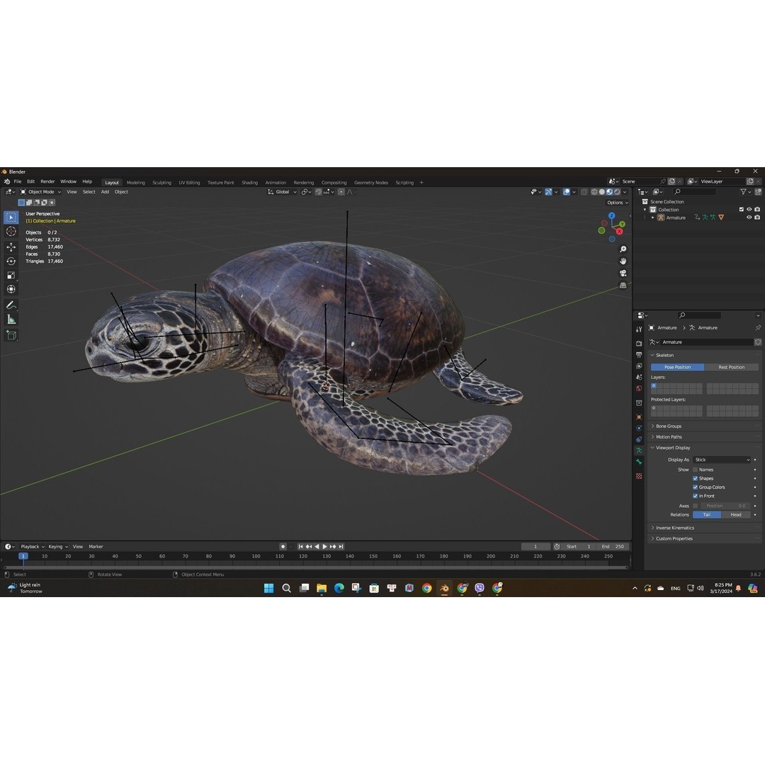 Turtle 3D Model – Animated Rigged Character with PBR Textures, FBX - View 18