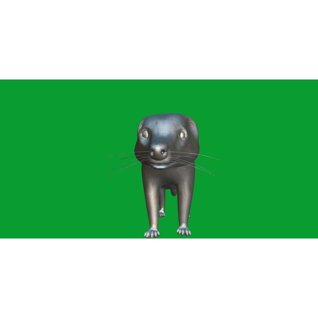 Coati 3D Model – Low Poly Game Ready Animal with 12 Animations - View 12