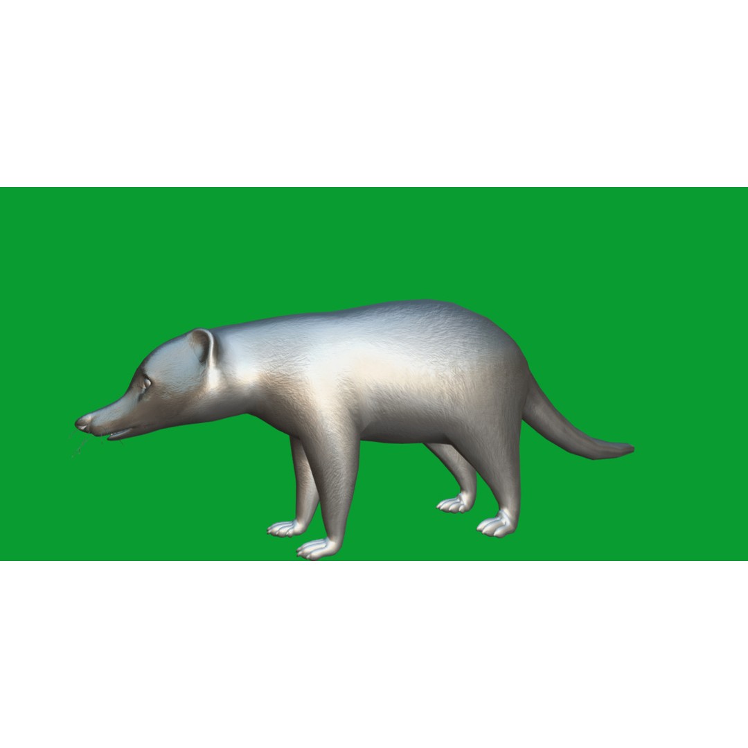 Coati 3D Model – Low Poly Game Ready Animal with 12 Animations - View 13