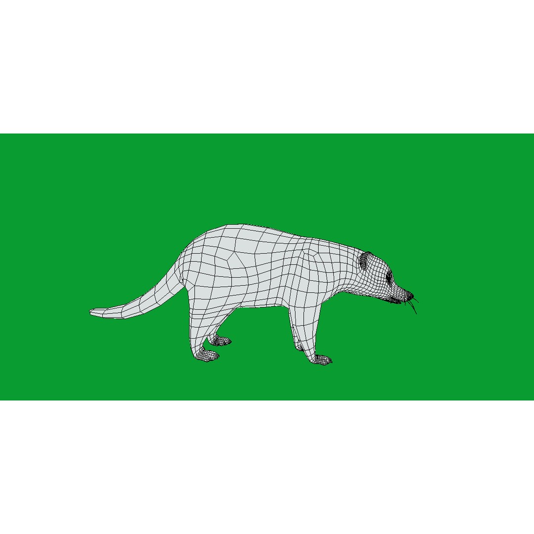 Coati 3D Model – Low Poly Game Ready Animal with 12 Animations - View 16