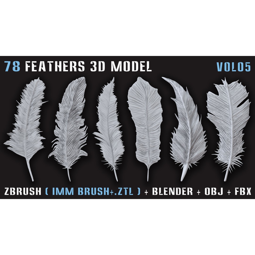 Feathers 3D Model – Low Poly Collection, FBX, OBJ, Blender