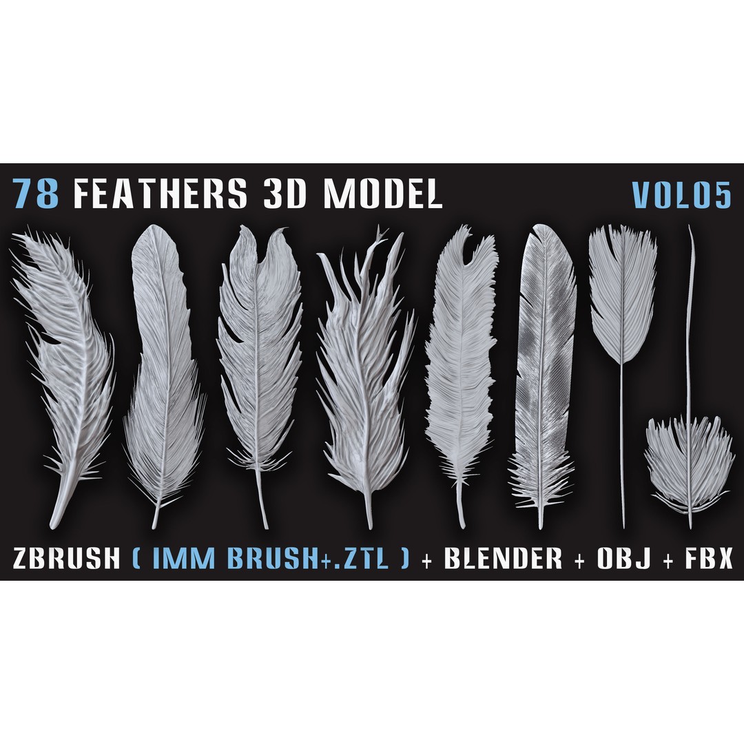 Feathers 3D Model – Low Poly Collection, FBX, OBJ, Blender - View 10