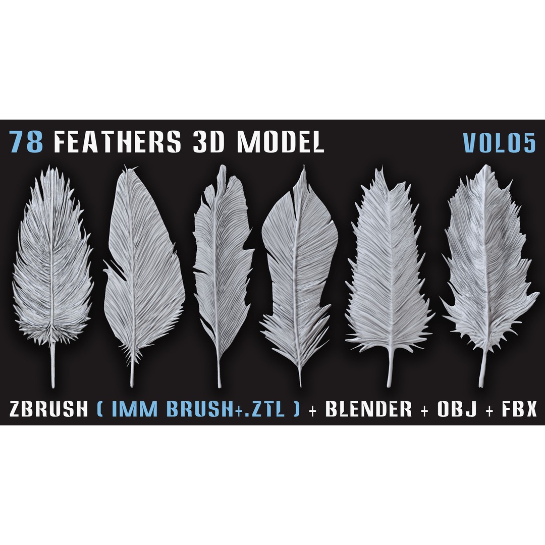 Feathers 3D Model – Low Poly Collection, FBX, OBJ, Blender - View 11