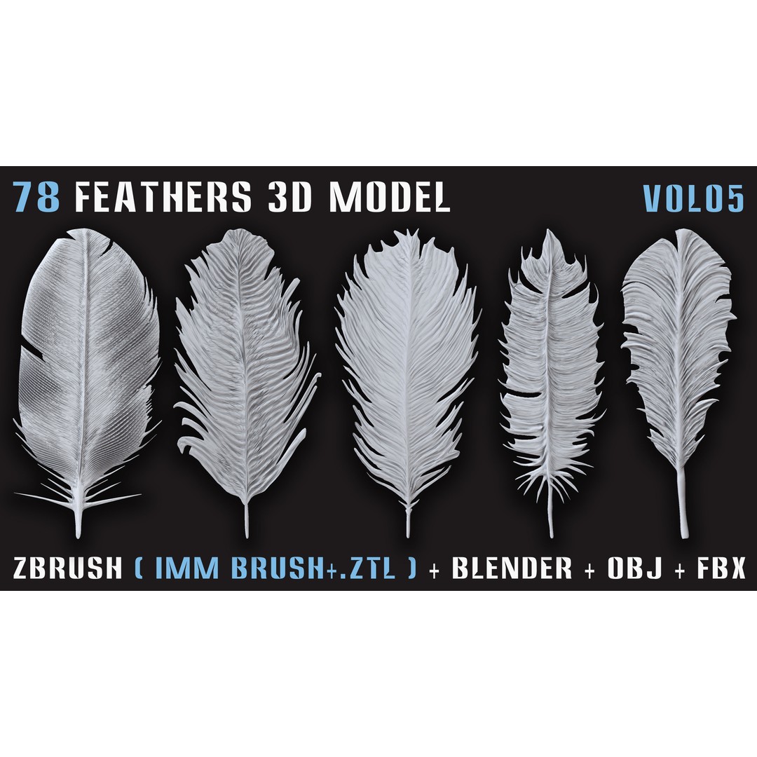 Feathers 3D Model – Low Poly Collection, FBX, OBJ, Blender - View 12