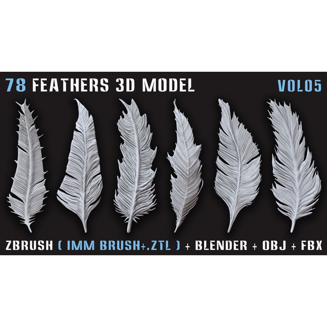 Feathers 3D Model – Low Poly Collection, FBX, OBJ, Blender - View 13