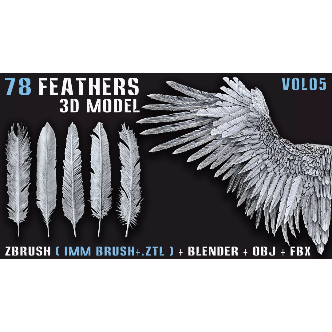 Feathers 3D Model – Low Poly Collection, FBX, OBJ, Blender - View 2