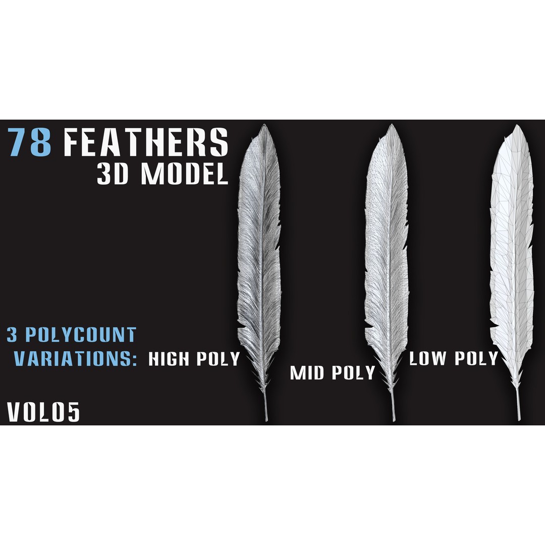 Feathers 3D Model – Low Poly Collection, FBX, OBJ, Blender - View 3