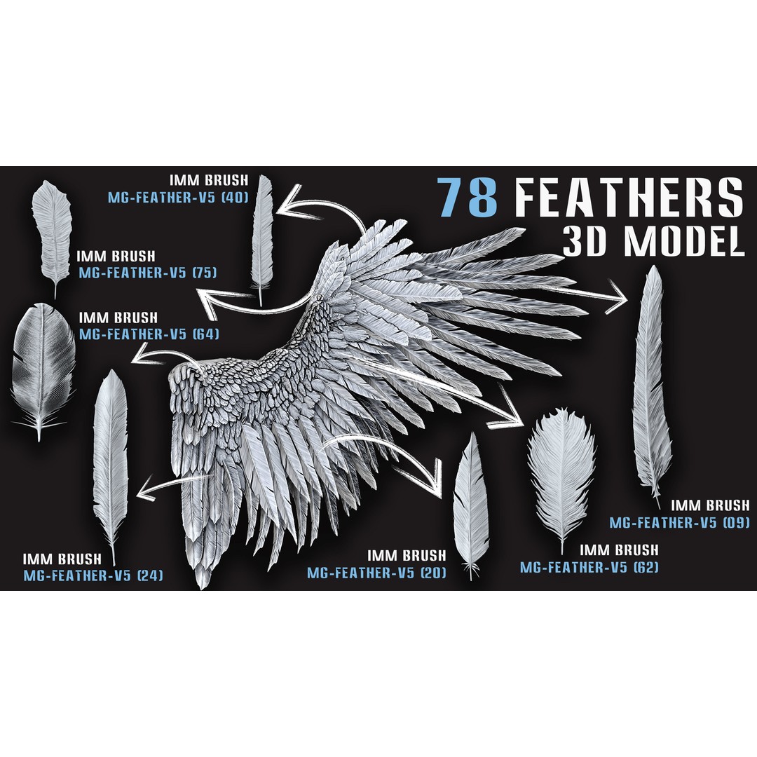 Feathers 3D Model – Low Poly Collection, FBX, OBJ, Blender - View 4