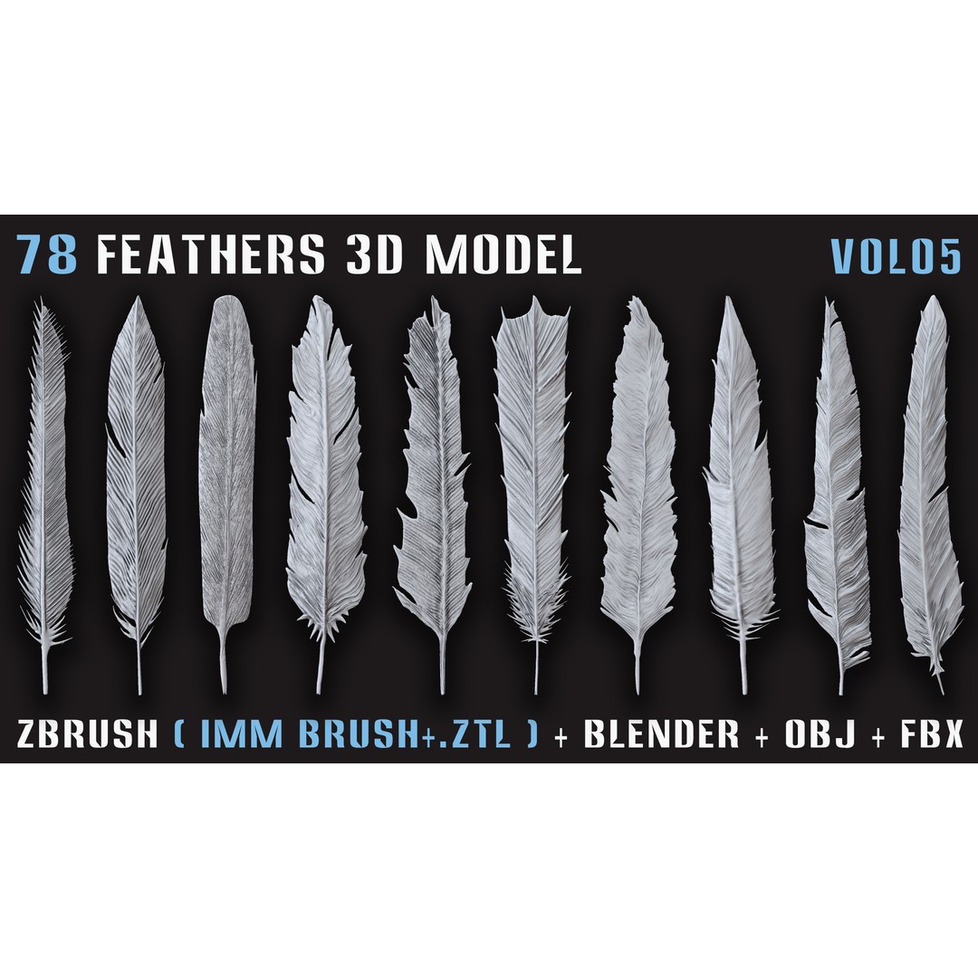 Feathers 3D Model – Low Poly Collection, FBX, OBJ, Blender - View 5