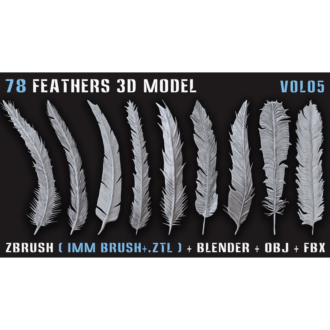 Feathers 3D Model – Low Poly Collection, FBX, OBJ, Blender - View 6