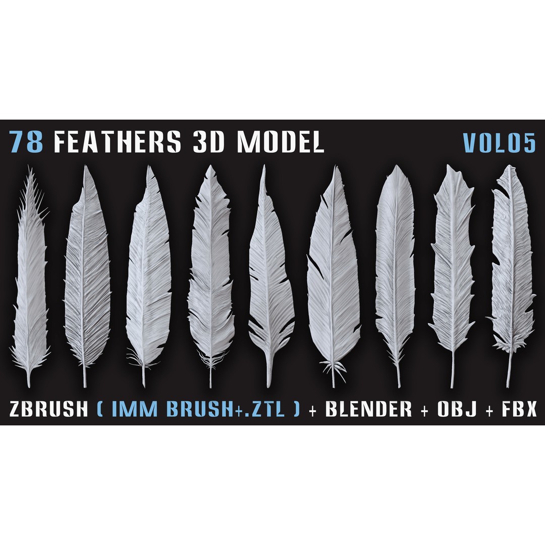 Feathers 3D Model – Low Poly Collection, FBX, OBJ, Blender - View 7