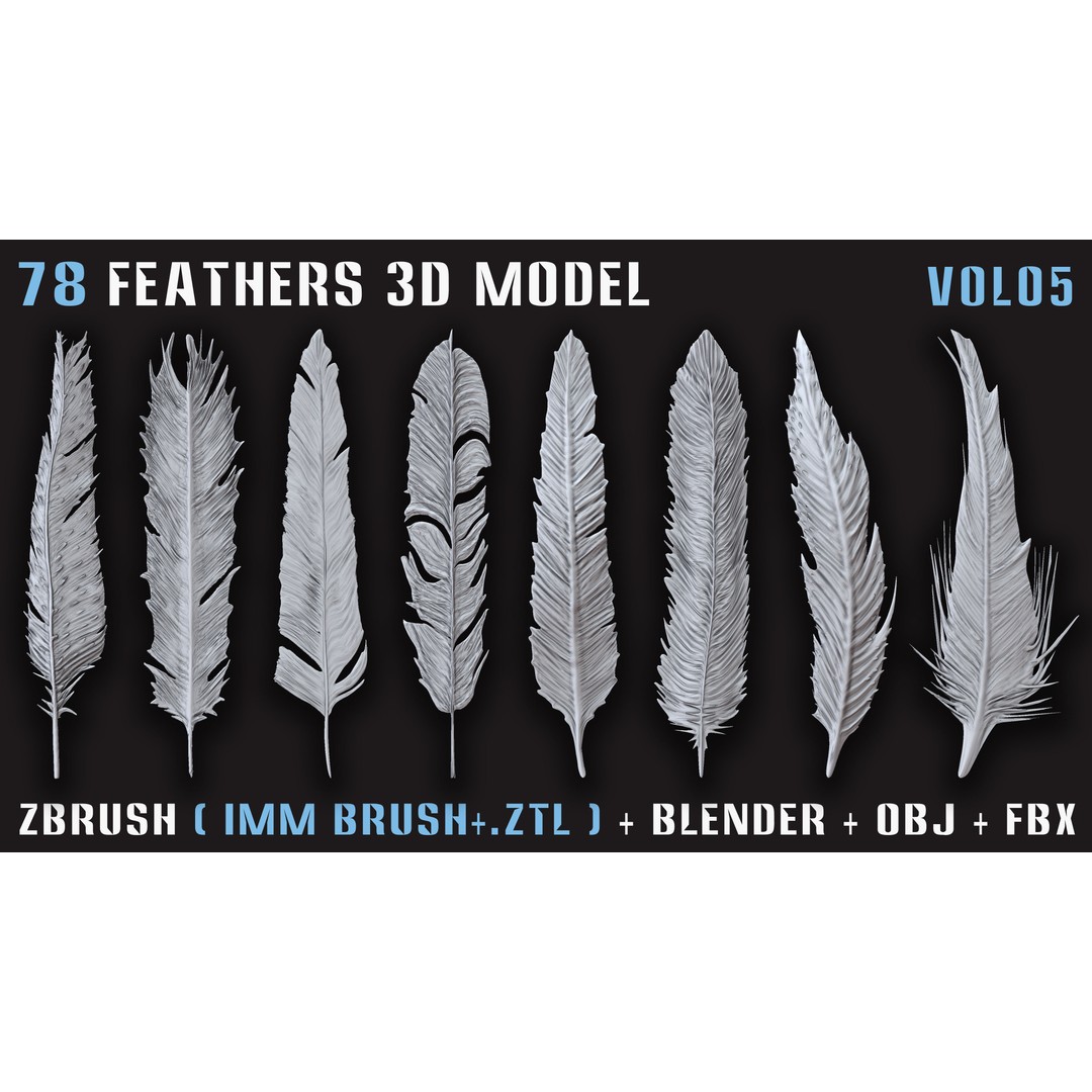 Feathers 3D Model – Low Poly Collection, FBX, OBJ, Blender - View 8
