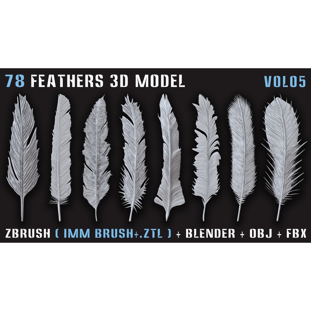 Feathers 3D Model – Low Poly Collection, FBX, OBJ, Blender - View 9