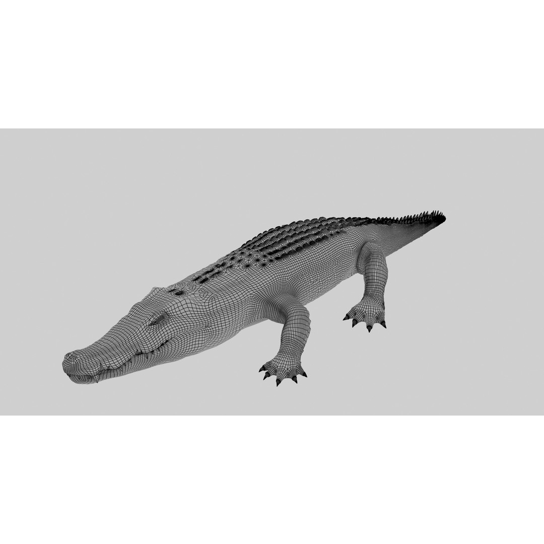 Realistic Crocodile 3D Model – Rigged Low-Poly Game Asset, FBX, OBJ