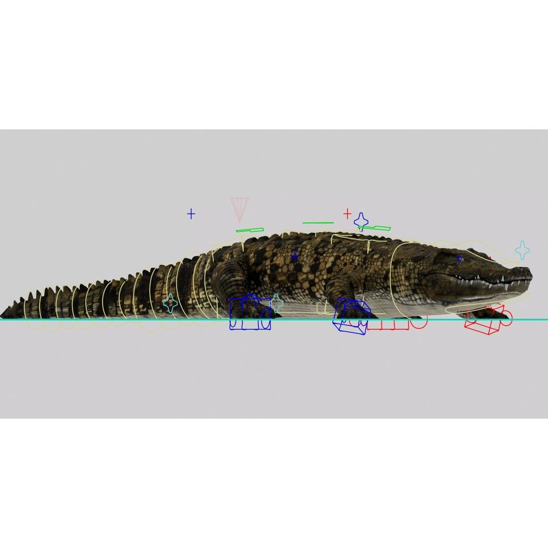 Realistic Crocodile 3D Model – Rigged Low-Poly Game Asset, FBX, OBJ - View 2