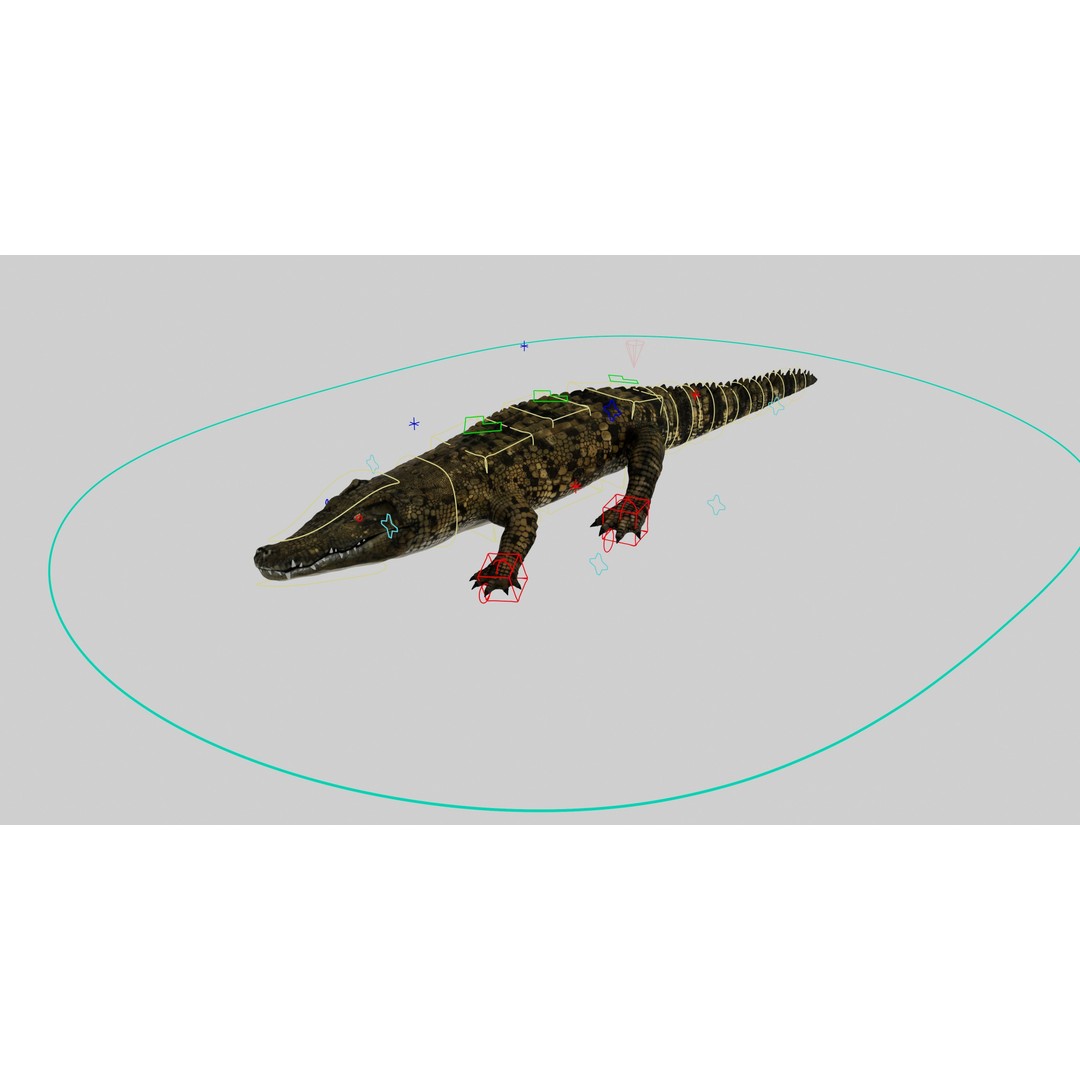 Realistic Crocodile 3D Model – Rigged Low-Poly Game Asset, FBX, OBJ - View 4