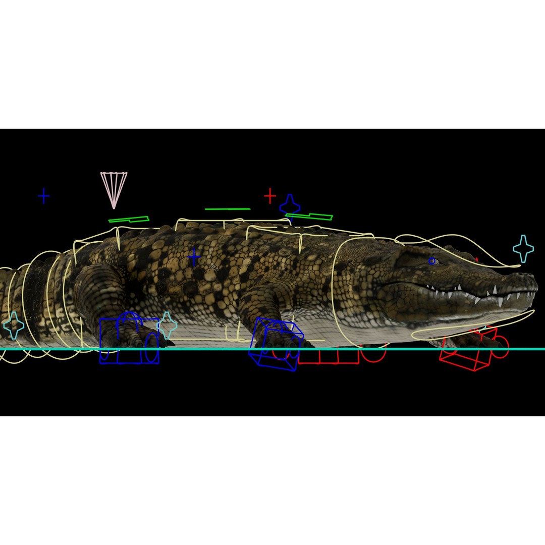 Realistic Crocodile 3D Model – Rigged Low-Poly Game Asset, FBX, OBJ - View 5