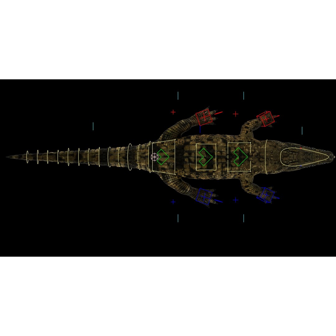 Realistic Crocodile 3D Model – Rigged Low-Poly Game Asset, FBX, OBJ - View 7