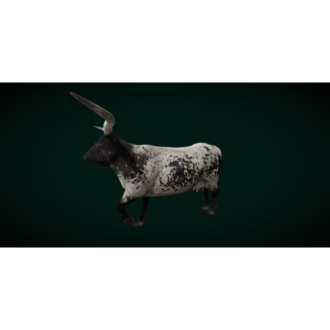 Texas Longhorn Cattle 3D Model – Low Poly Game Asset, FBX, PBR
