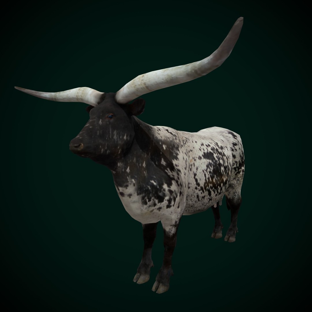 Texas Longhorn Cattle 3D Model – Low Poly Game Asset, FBX, PBR - View 17