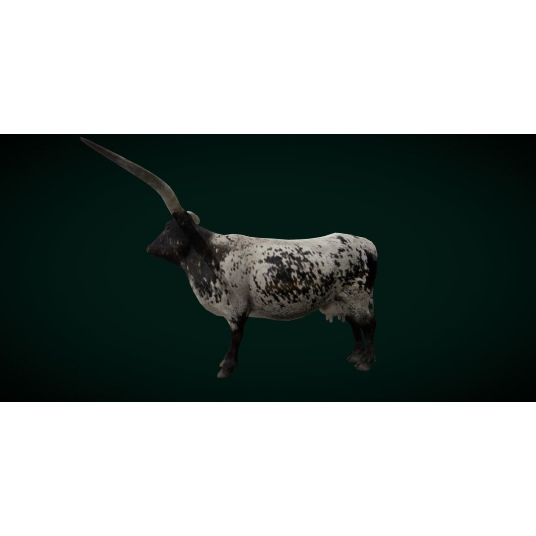 Texas Longhorn Cattle 3D Model – Low Poly Game Asset, FBX, PBR - View 18