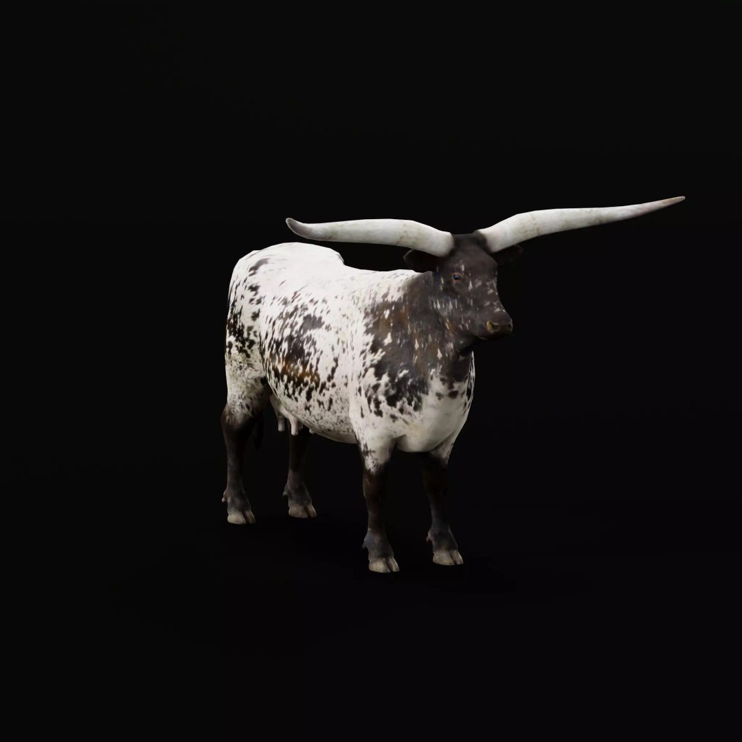 Texas Longhorn Cattle 3D Model – Low Poly Game Asset, FBX, PBR - View 2