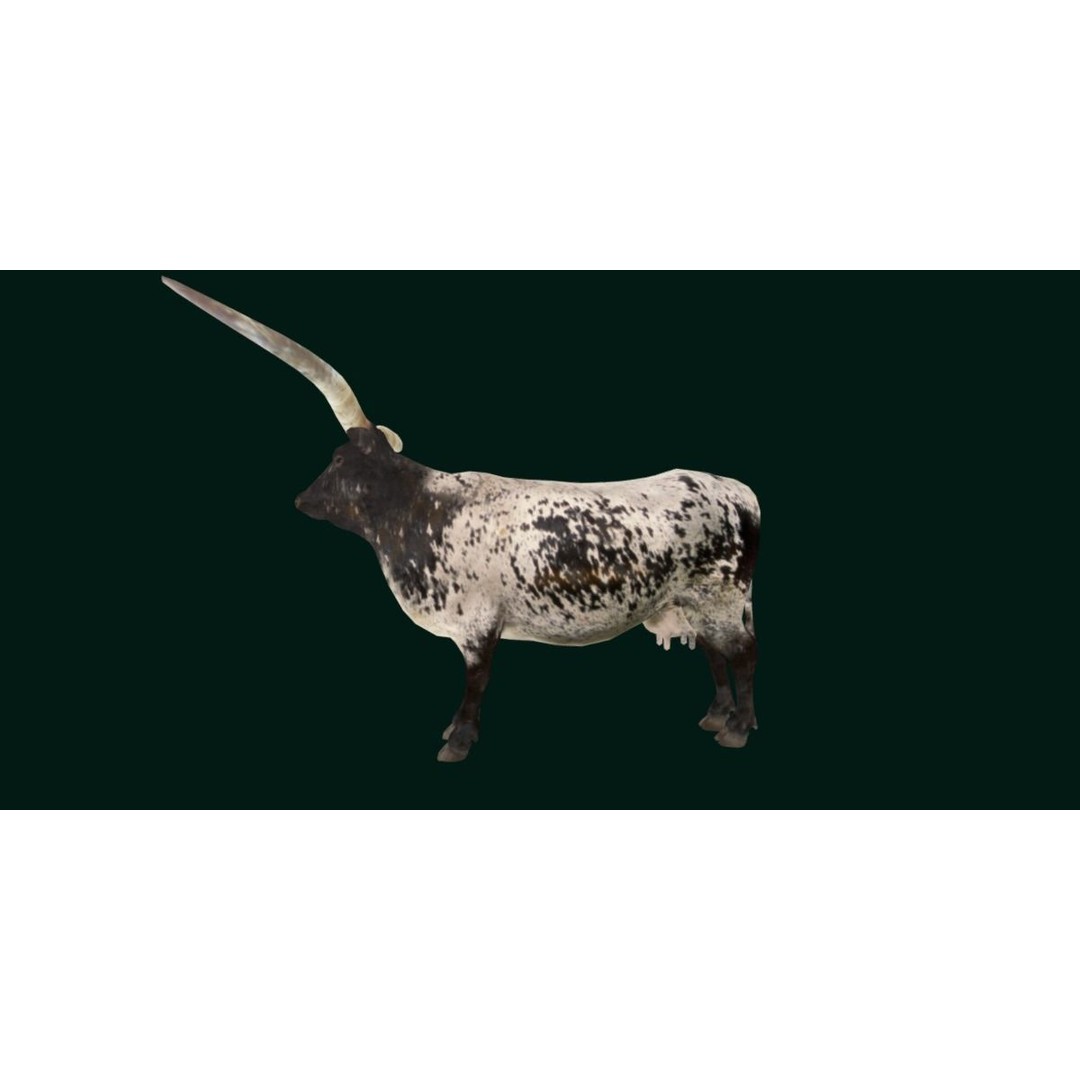 Texas Longhorn Cattle 3D Model – Low Poly Game Asset, FBX, PBR - View 21