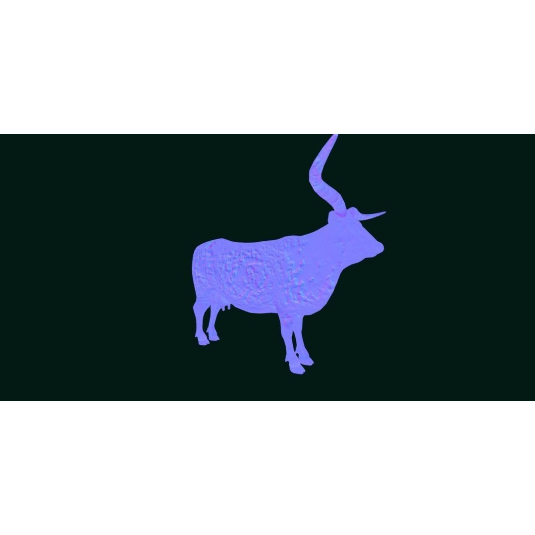 Texas Longhorn Cattle 3D Model – Low Poly Game Asset, FBX, PBR - View 23