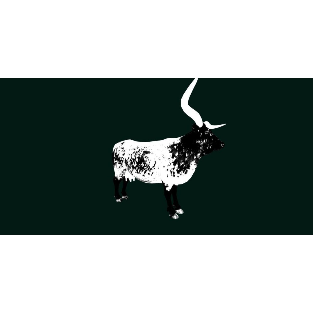 Texas Longhorn Cattle 3D Model – Low Poly Game Asset, FBX, PBR - View 24