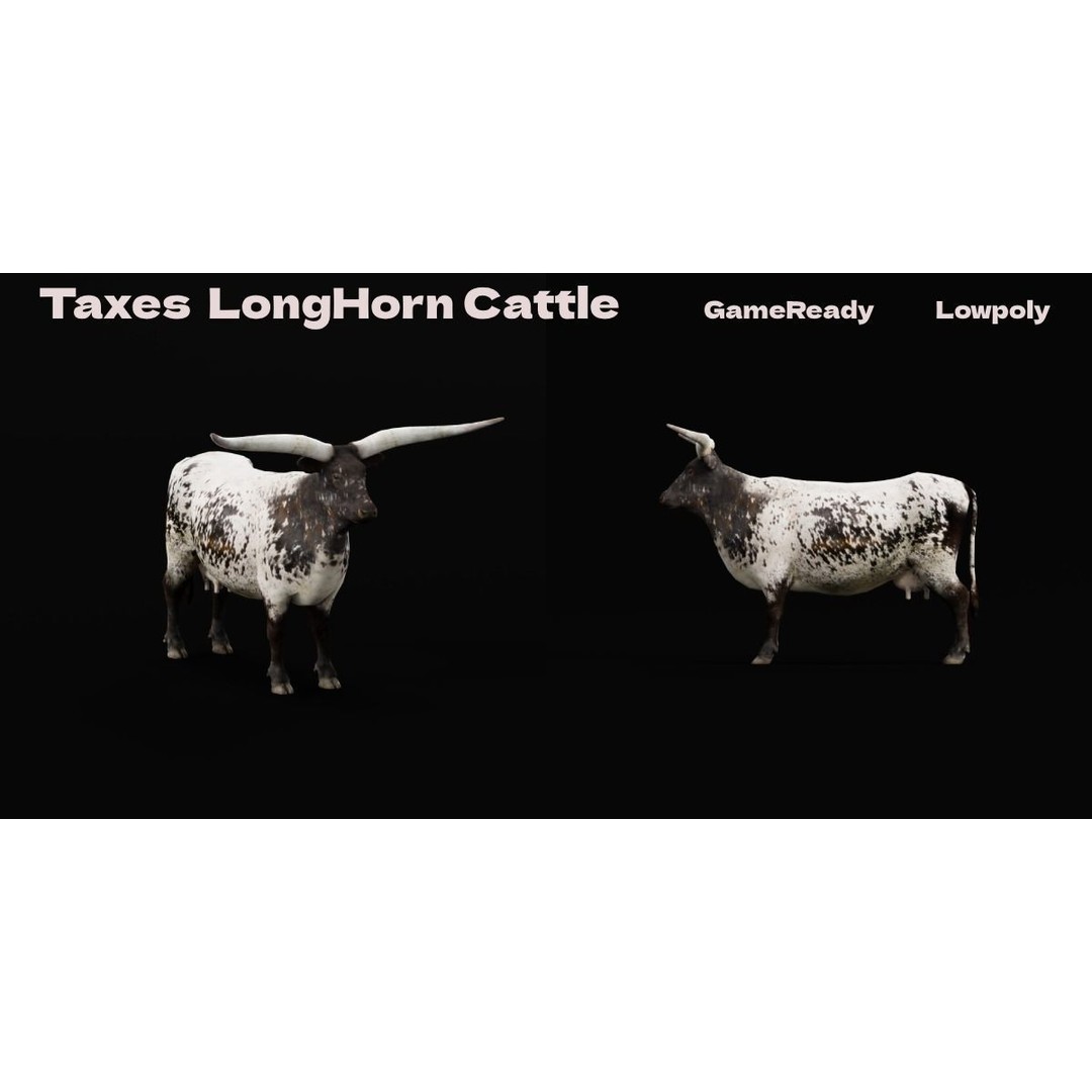 Texas Longhorn Cattle 3D Model – Low Poly Game Asset, FBX, PBR - View 3