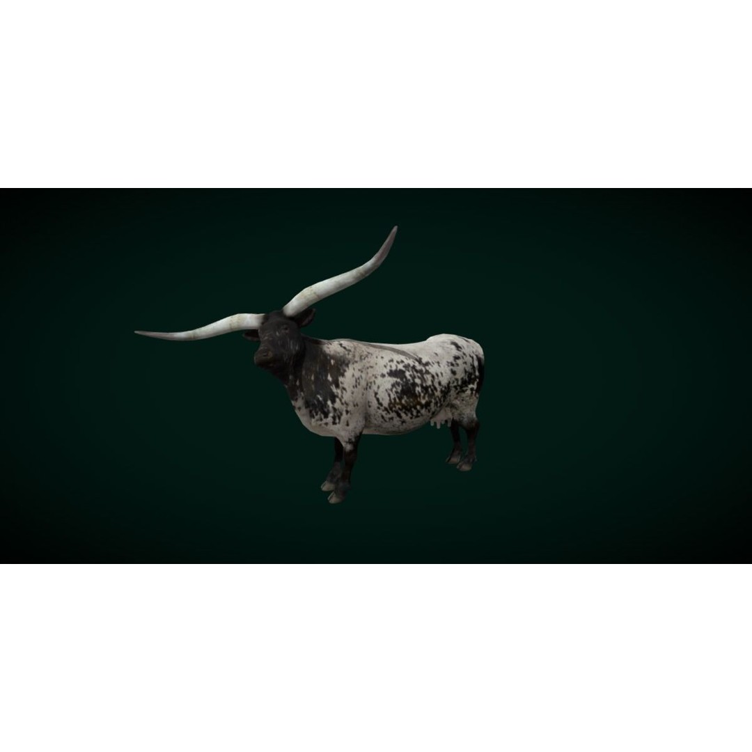 Texas Longhorn Cattle 3D Model – Low Poly Game Asset, FBX, PBR - View 7
