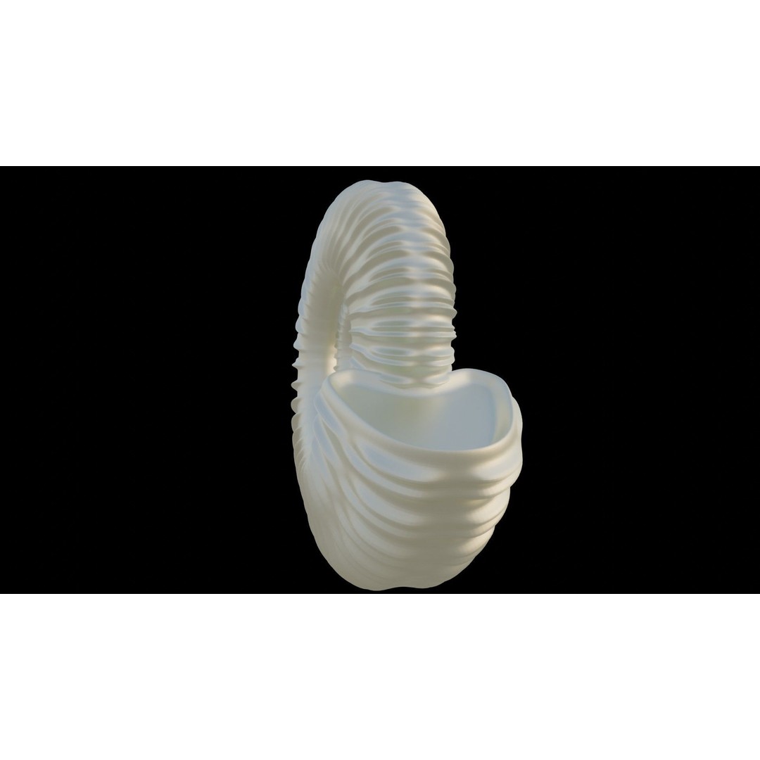 Ammonoid Shell 3D Model – Detailed Cephalopod Fossil, FBX, OBJ - View 14