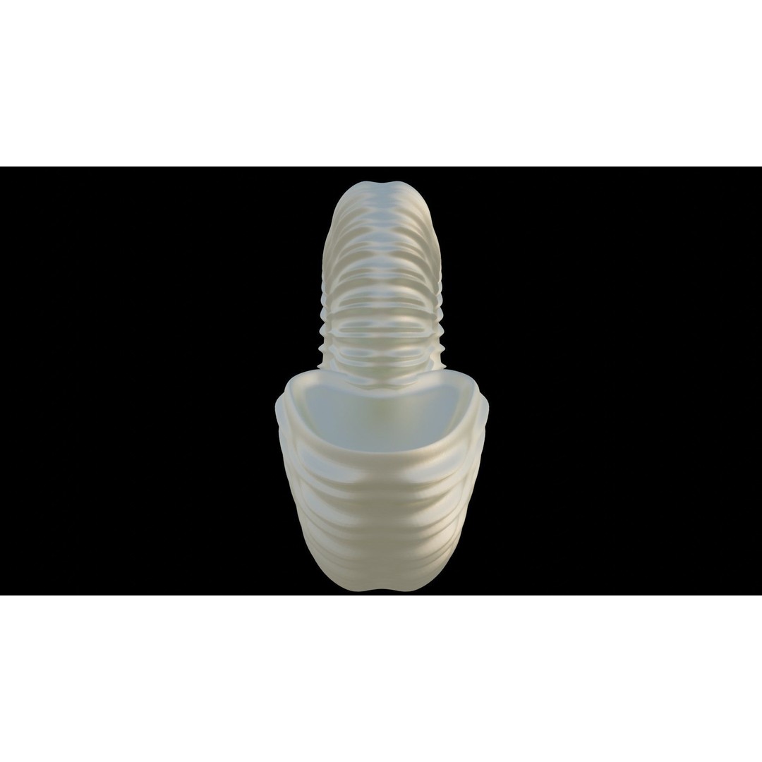 Ammonoid Shell 3D Model – Detailed Cephalopod Fossil, FBX, OBJ - View 15