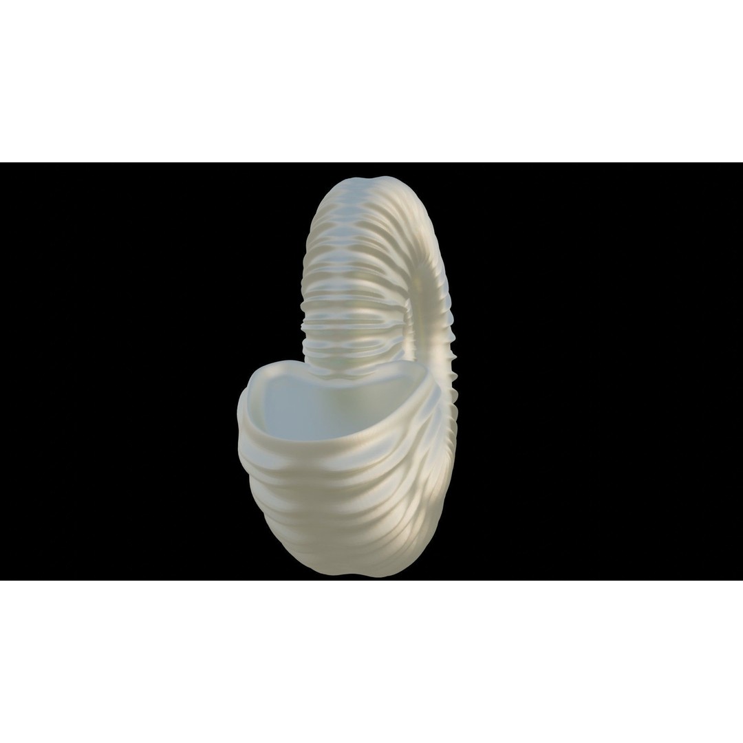 Ammonoid Shell 3D Model – Detailed Cephalopod Fossil, FBX, OBJ - View 16