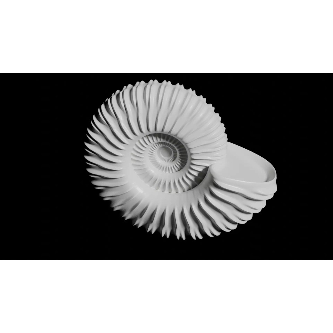 Ammonoid Shell 3D Model – Detailed Cephalopod Fossil, FBX, OBJ - View 2