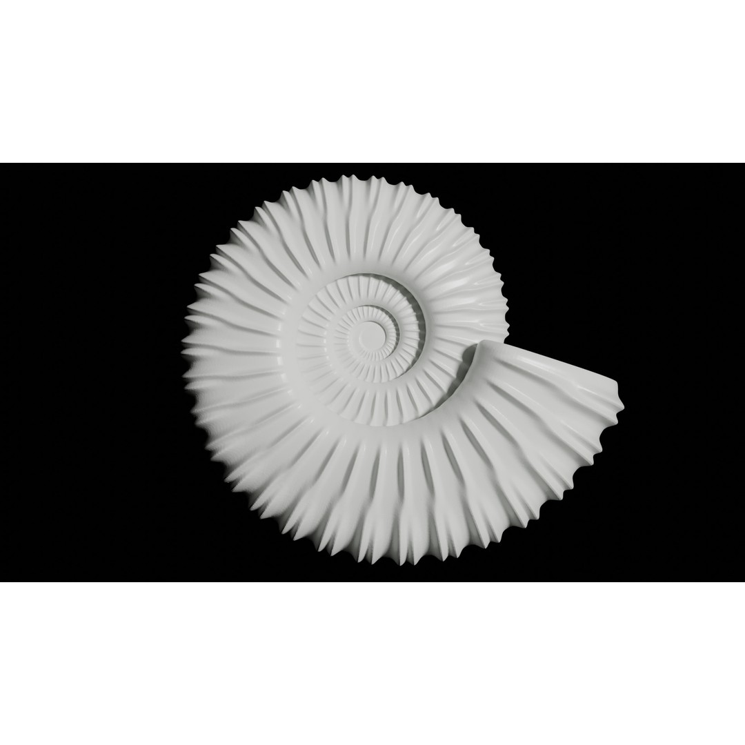 Ammonoid Shell 3D Model – Detailed Cephalopod Fossil, FBX, OBJ - View 3