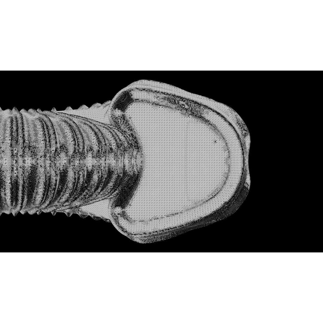 Ammonoid Shell 3D Model – Detailed Cephalopod Fossil, FBX, OBJ - View 46