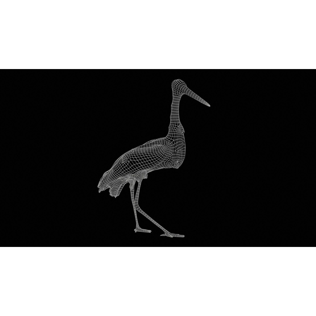 White Stork 3D Model – Low Poly Game Asset, FBX, PBR Textures - View 13