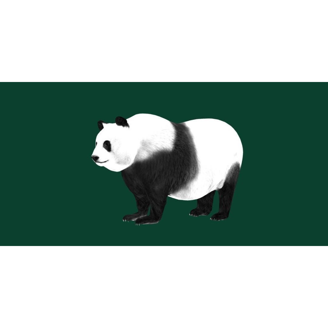 Giant Panda Bear 3D Model – High Poly Game Ready Asset, FBX, PBR - View 19