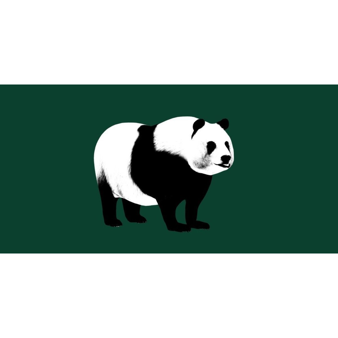 Giant Panda Bear 3D Model – High Poly Game Ready Asset, FBX, PBR - View 5