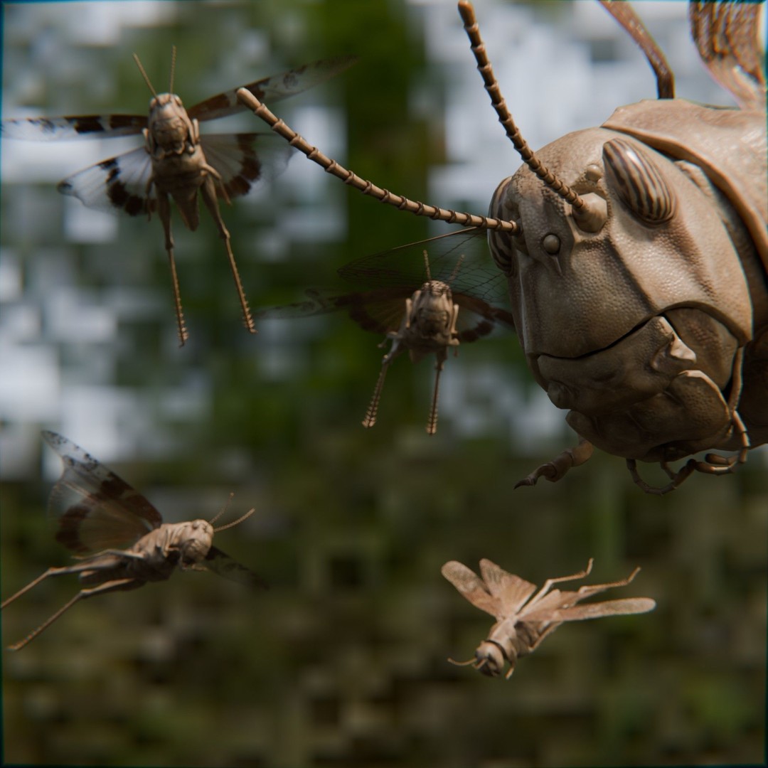 Locust Grasshopper 3D Model – Low Poly Rigged Asset with PBR Textures - View 13
